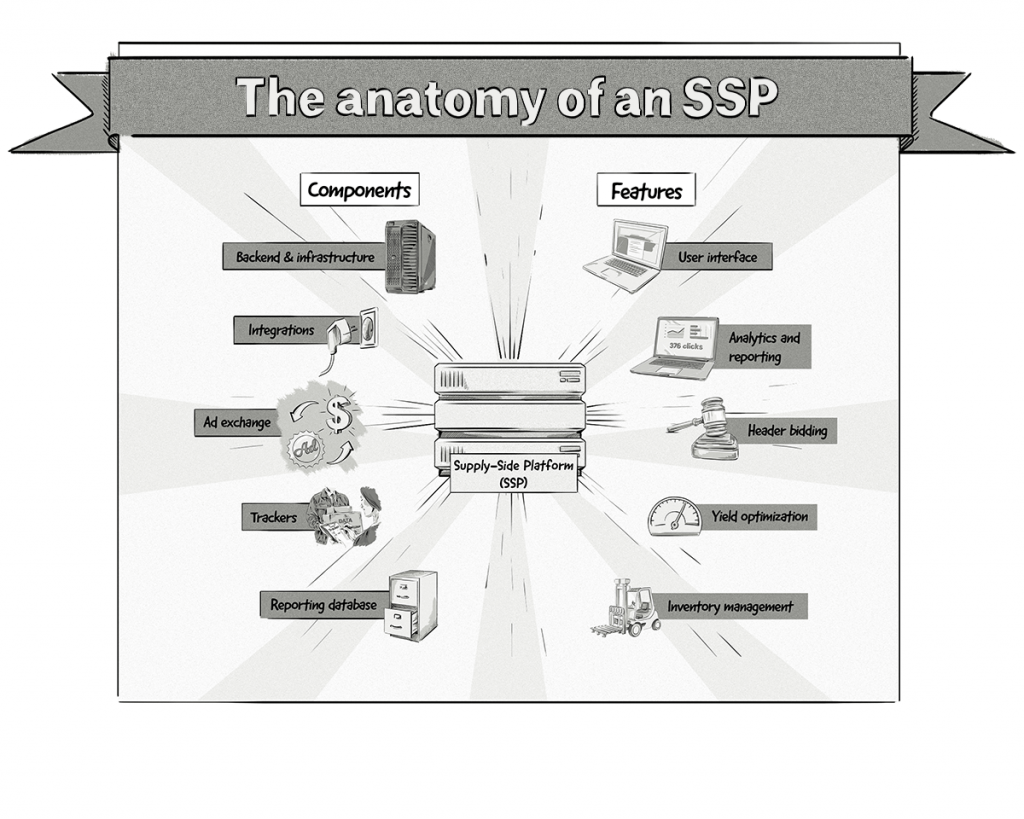the anatomy of SSP